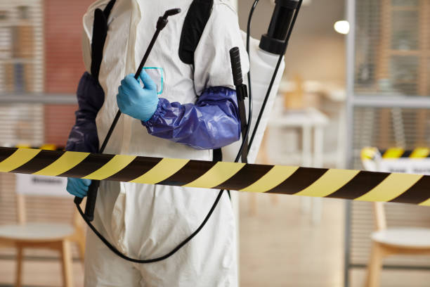 Professional Sewage Cleanup technician working in Cable, OH
